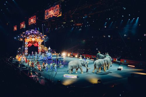 circus arena ring