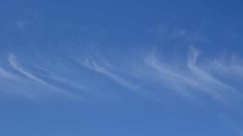 cirrus clouds filaments
