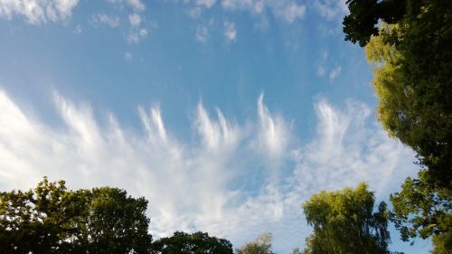 Cirrus Uncinus Clouds