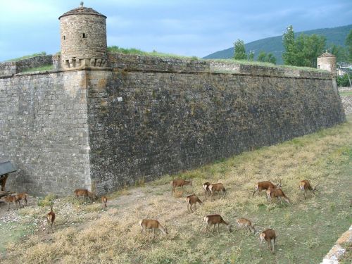 citadel fortification jaca
