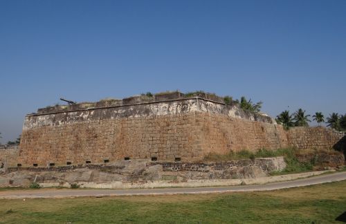 citadel canon fort