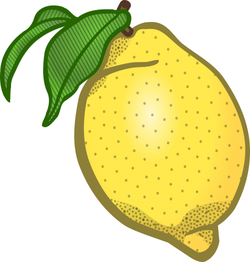 citron education fruit