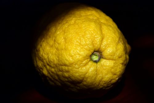 citron cedrat citrus fruit