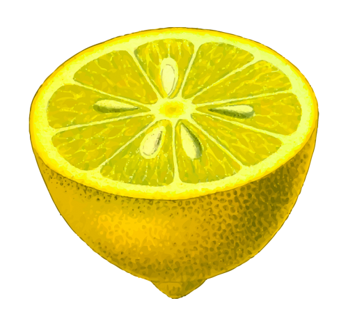 citrus edible food