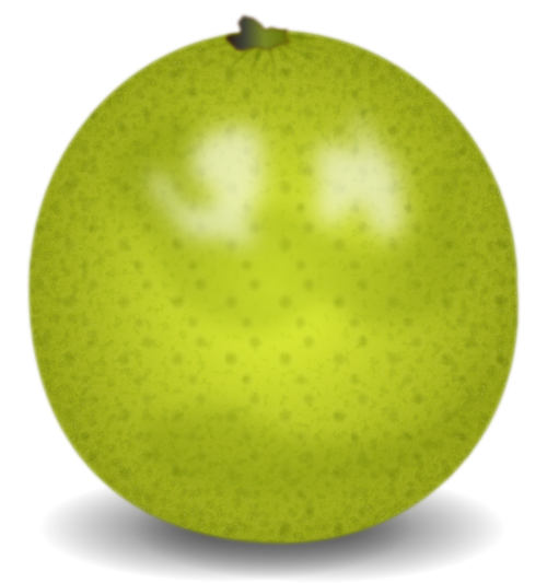 citrus lime fruit