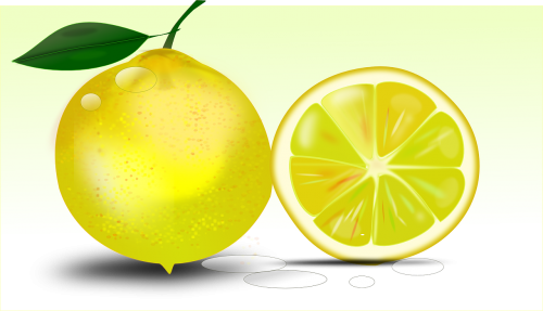 citrus lemon citrus fruit
