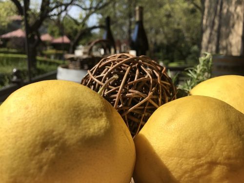 citrus lemon fruit