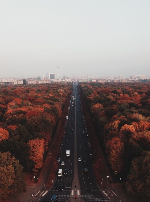 city autumn fall