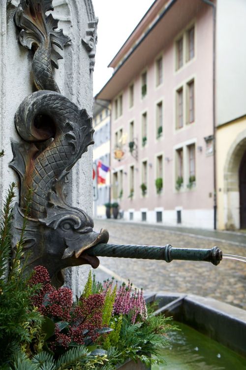 city fountain fish