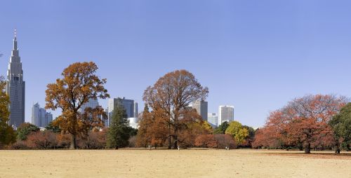 city autumn landscape