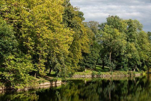 city  park  green