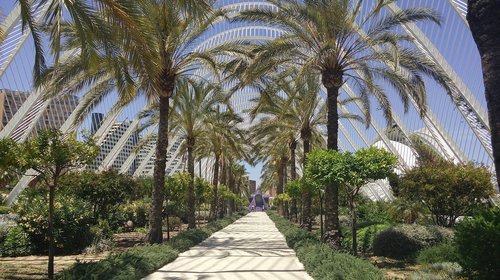 city  of arts and science  spain