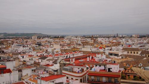 city rooftops architecture