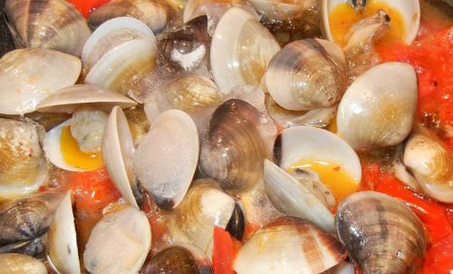 clams tomatoes olive oil