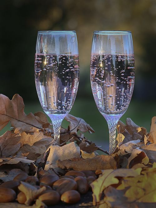 glasses autumn sparkling