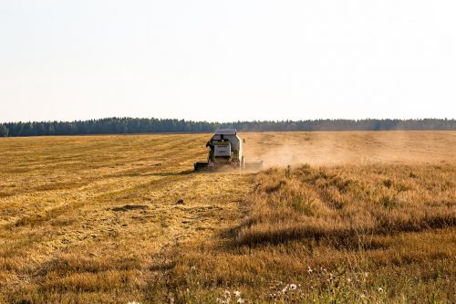 cleaning harvest rural