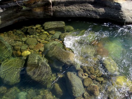 Clear Water Of Mountain Stream