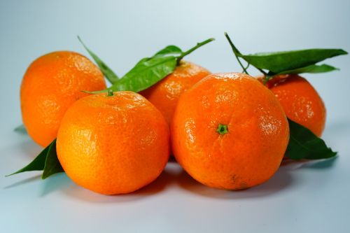 clementines oranges tangerines