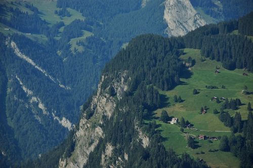 cliff trees aerial