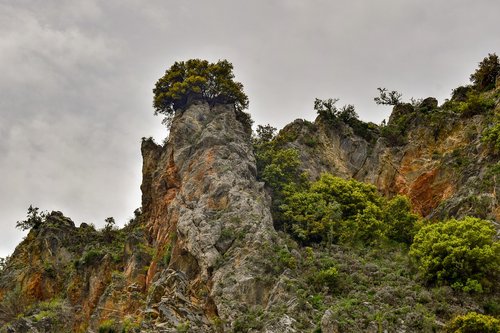 cliff  rock  trees