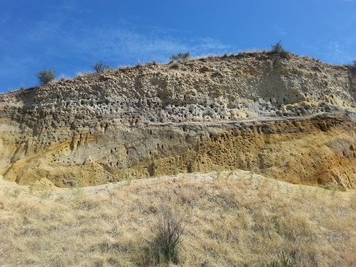 cliff nests sandstone