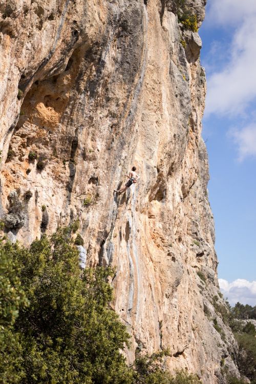cliffs escalation sport