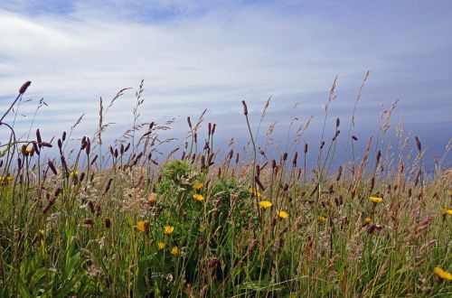 cliffs of moher ireland travel