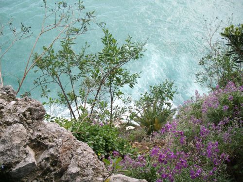 Cliffs Of Monaco