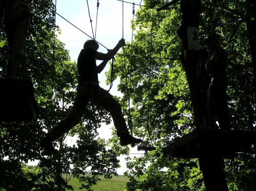 climbing trees extreme