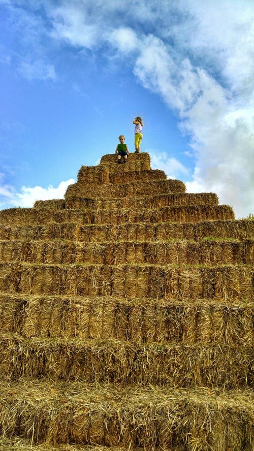 climbing children hay