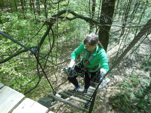 climbing forest aachen trees