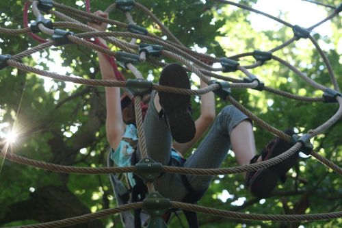 climbing forest network climb