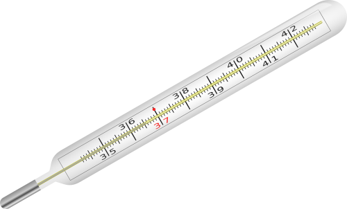clinical thermometer fever thermometer