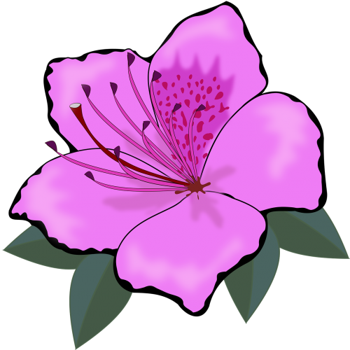 clip art flor flora