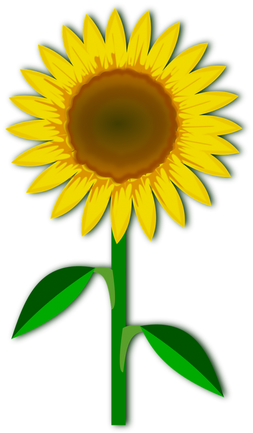 clip art flor flora