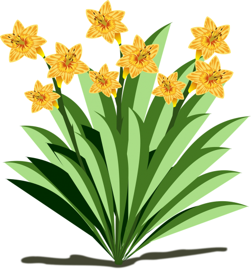 clip art flor flora