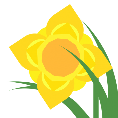 clipart daffodil narcissus