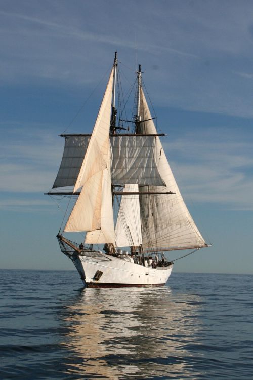 clipper sail boat