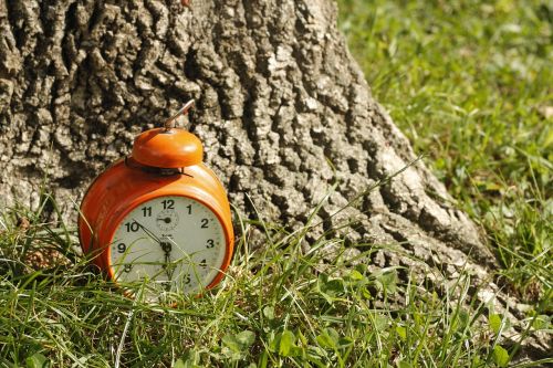 clock grass orange