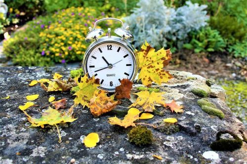 clock vanishing autumn