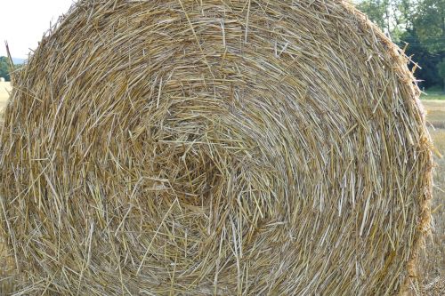 close hay bales arable