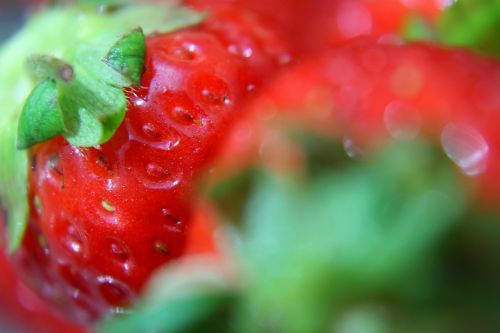 close-up strawberry fruit