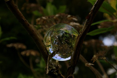 close up  glass ball  round