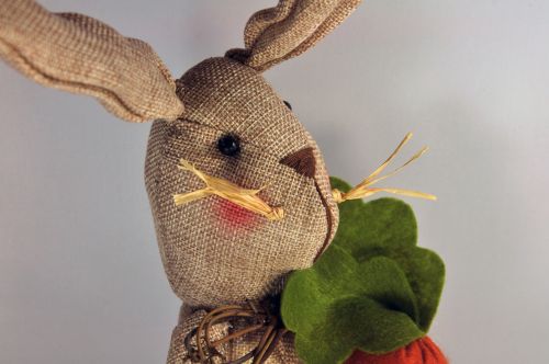 Close-up Of Easter Bunny Decoration