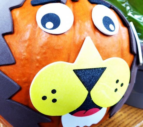 Closeup Of A Cat Pumpkin