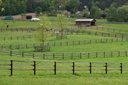 closing  field  lawn