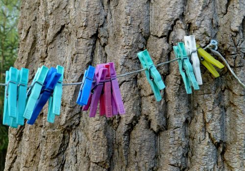 clothes line washing brackets tree