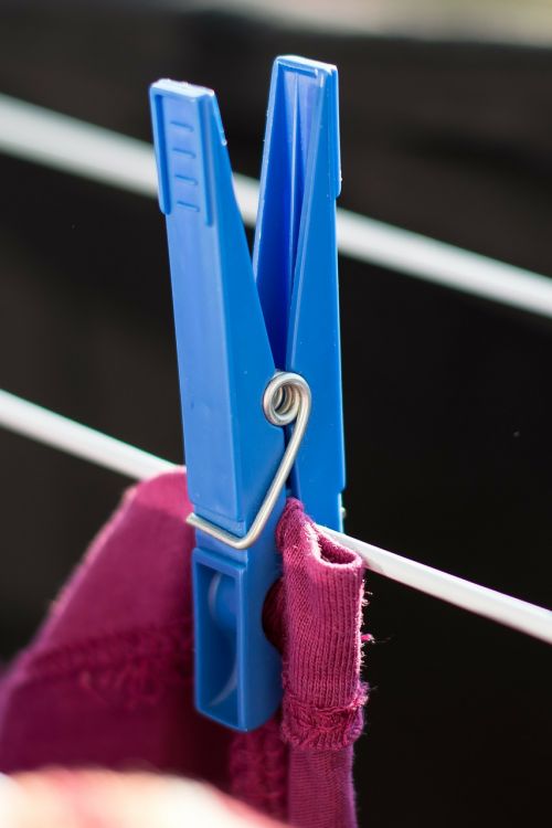 clothes peg laundry clip