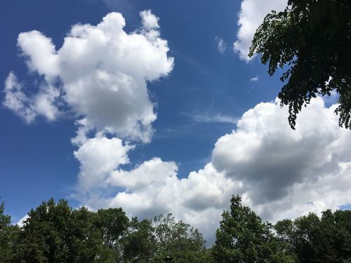 cloud tree sky