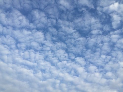 cloud sky blue sky clouds